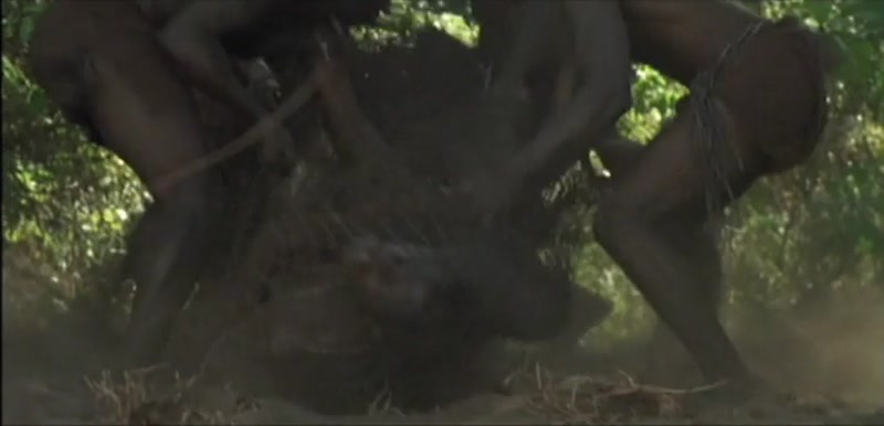 Video frame
