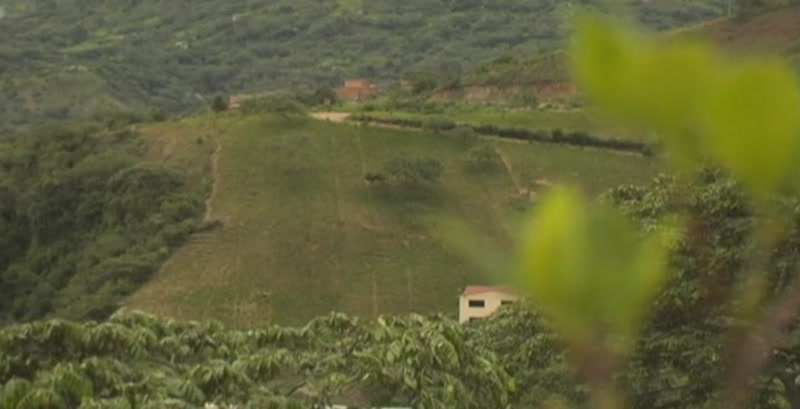 Video frame