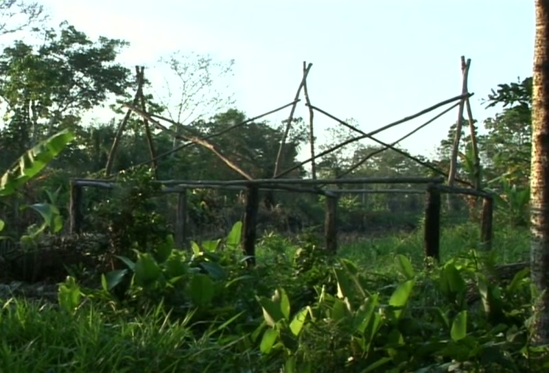 Video frame