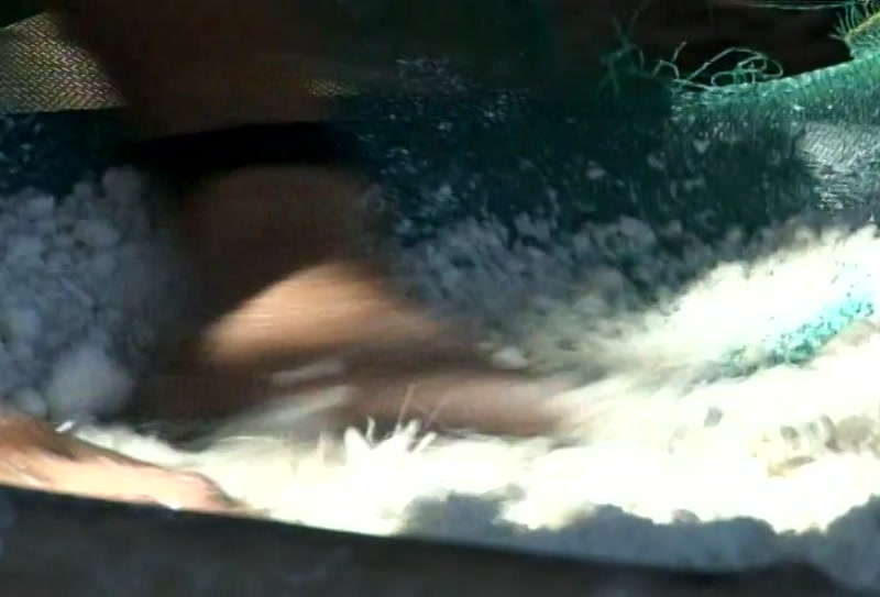 Video frame