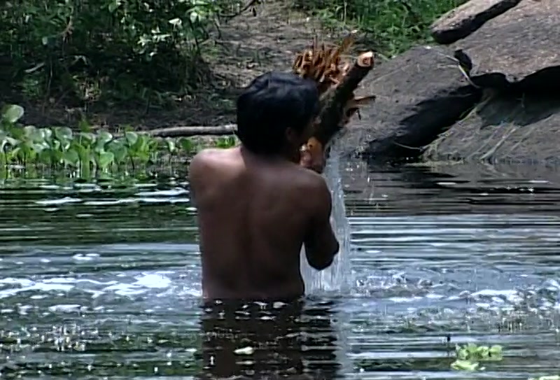 Video frame