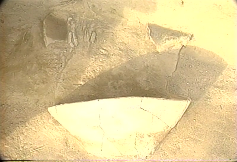 Video frame