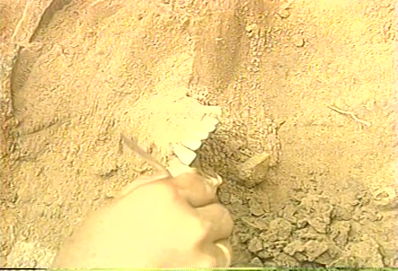 Video frame