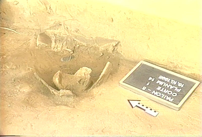 Video frame