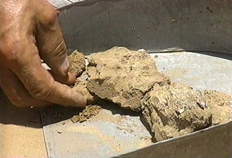 Video frame