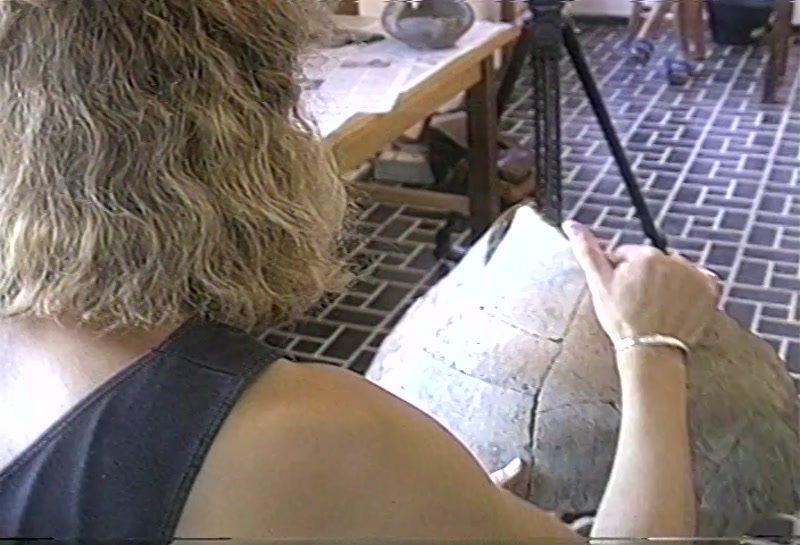 Video frame