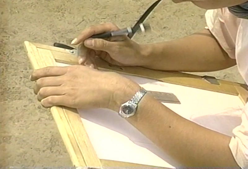 Video frame