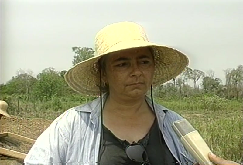 Video frame