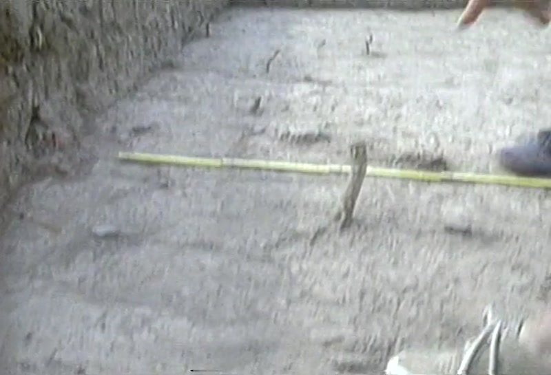 Video frame