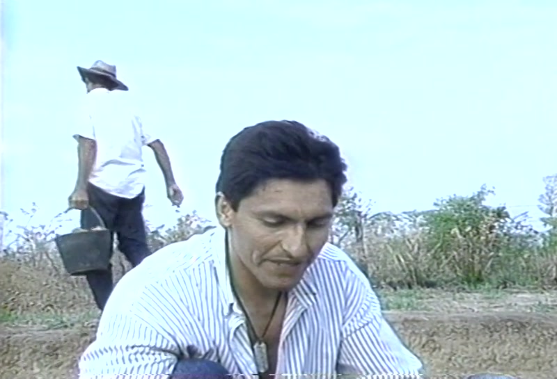Video frame