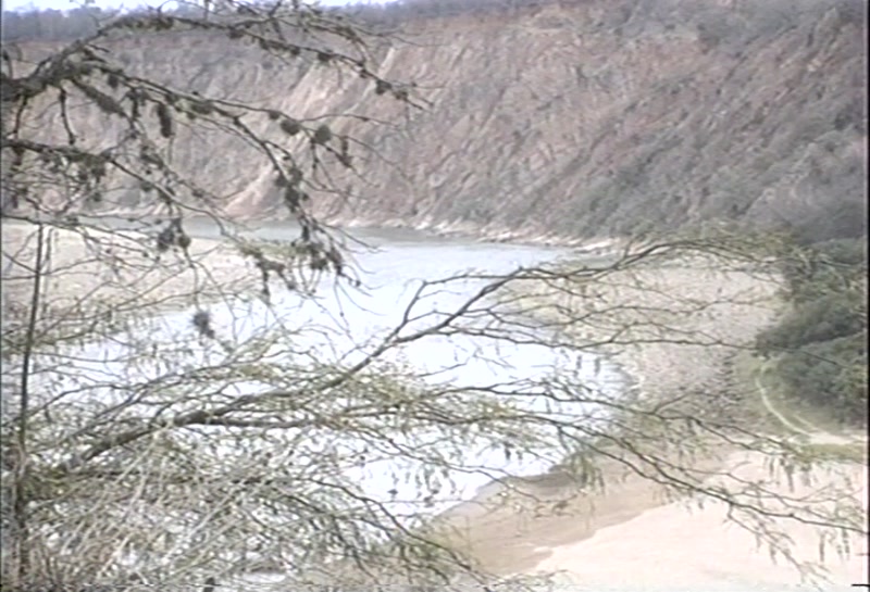 Video frame