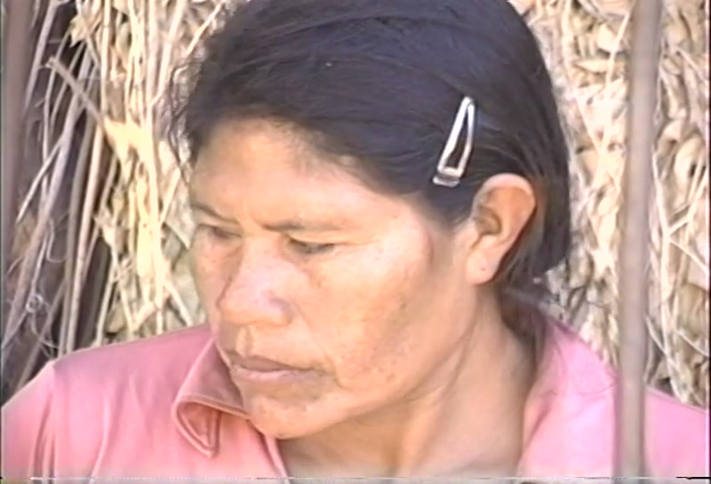 Video frame