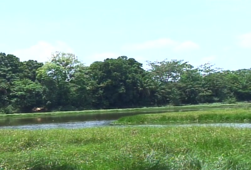 Video frame