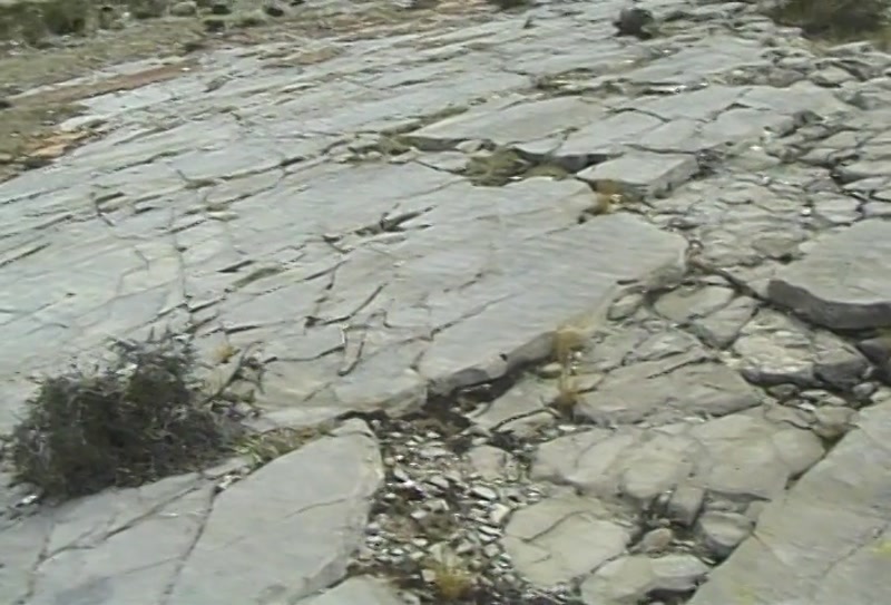 Video frame
