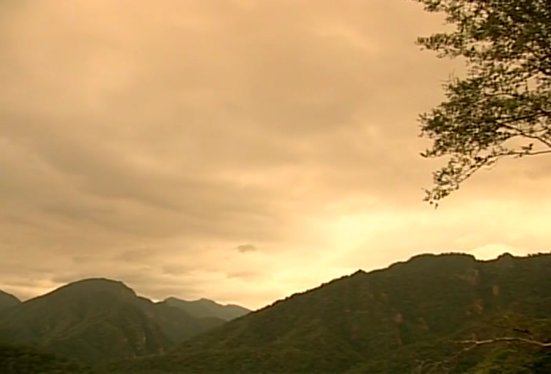 Video frame