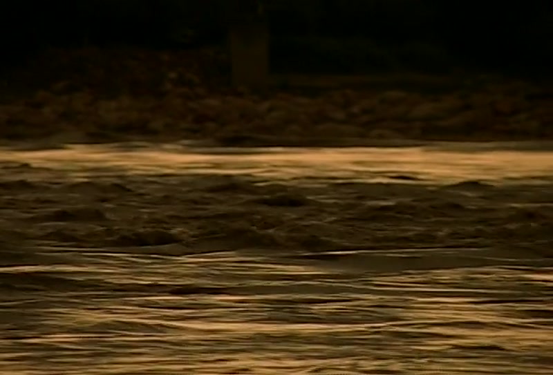 Video frame