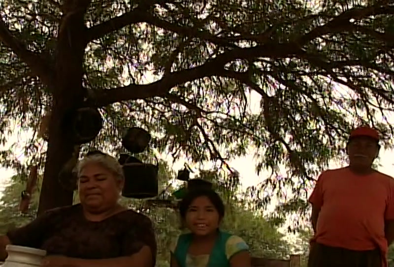 Video frame