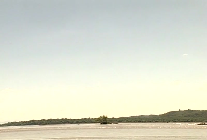 Video frame