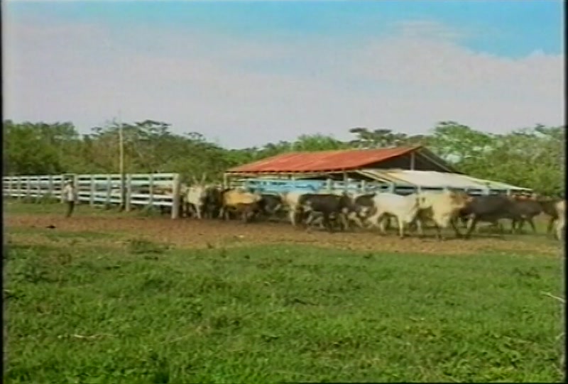 Video frame