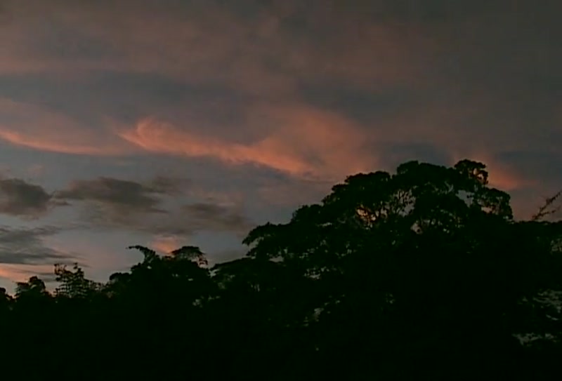 Video frame