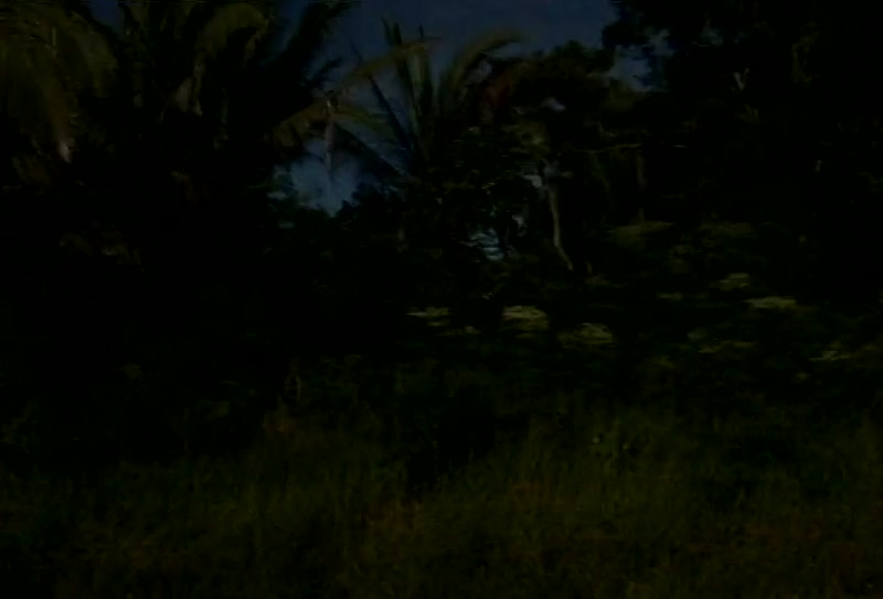 Video frame