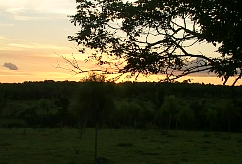 Video frame
