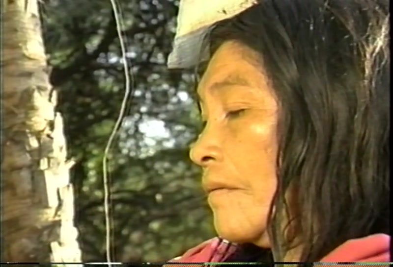 Video frame