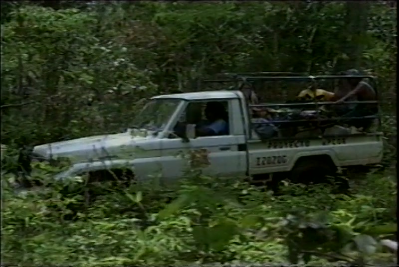 Video frame