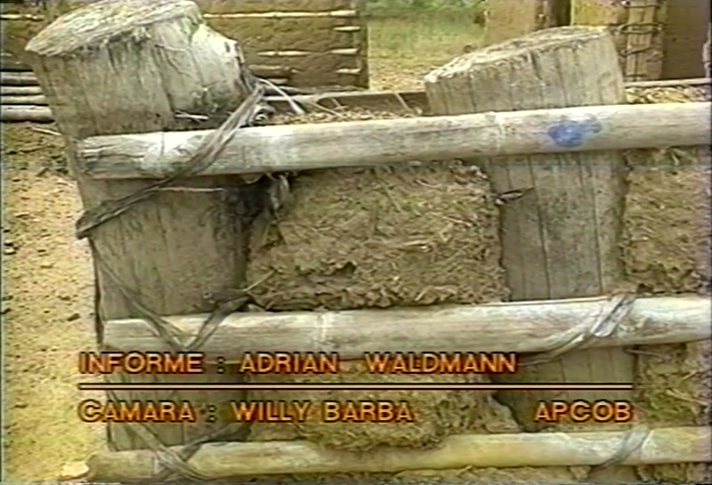 Video frame