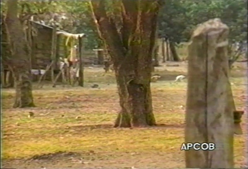 Video frame