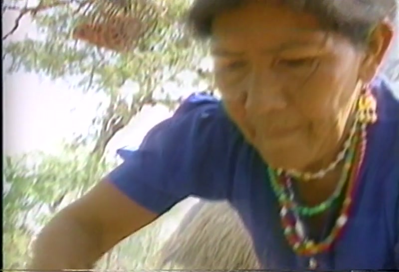 Video frame