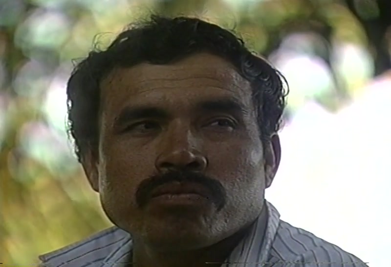 Video frame