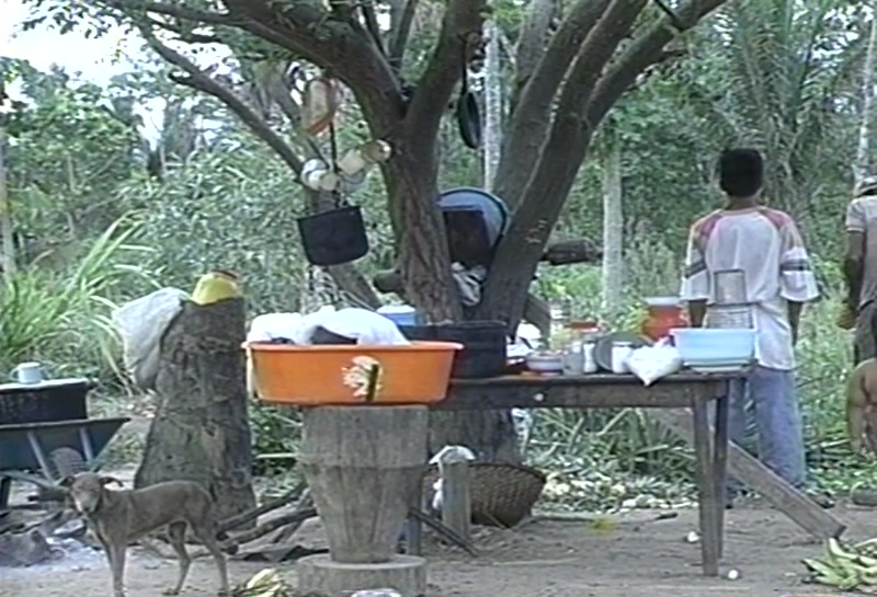 Video frame