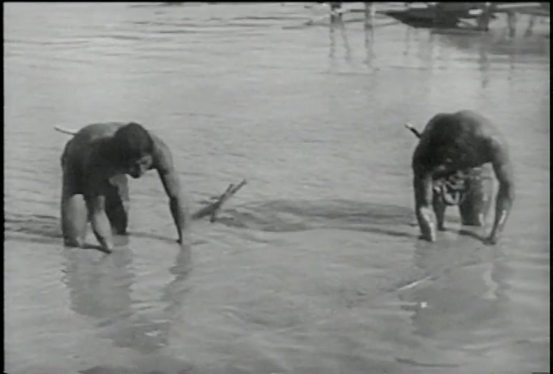 Video frame