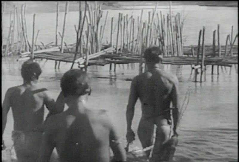 Video frame