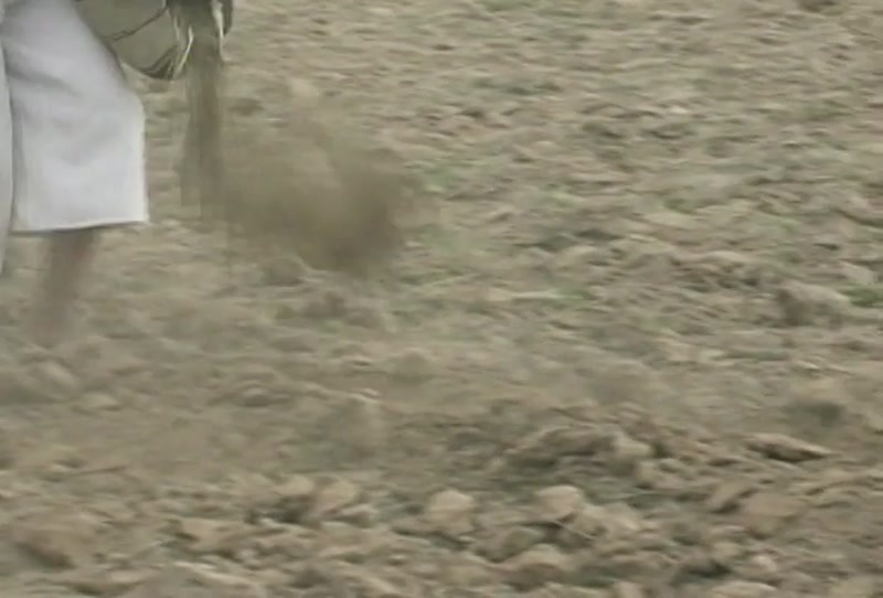 Video frame