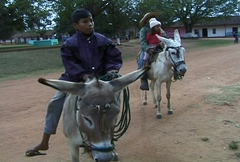 Video frame