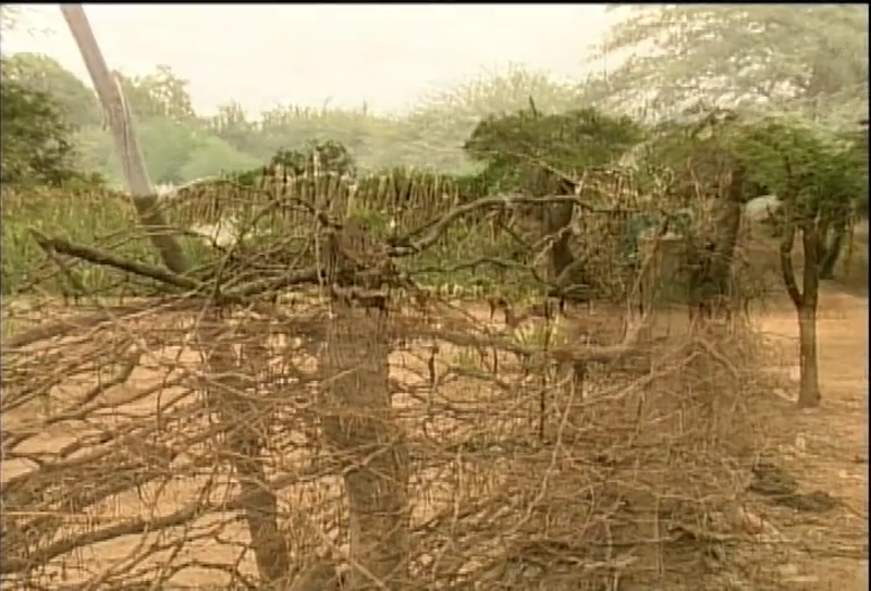 Video frame