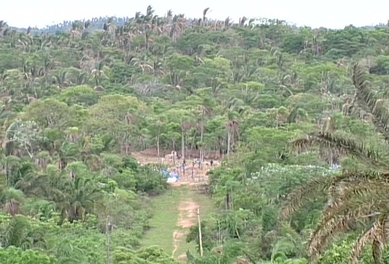 Video frame