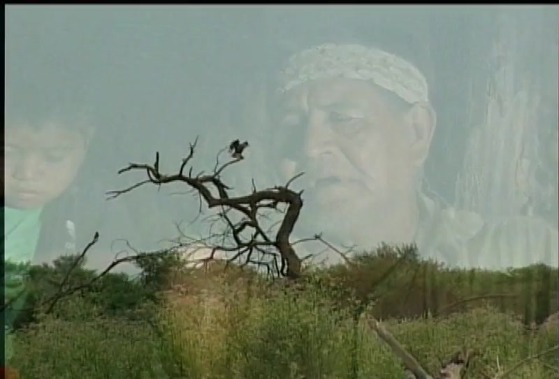 Video frame