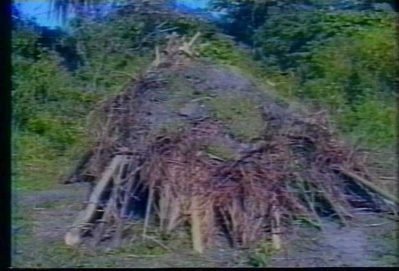 Video frame