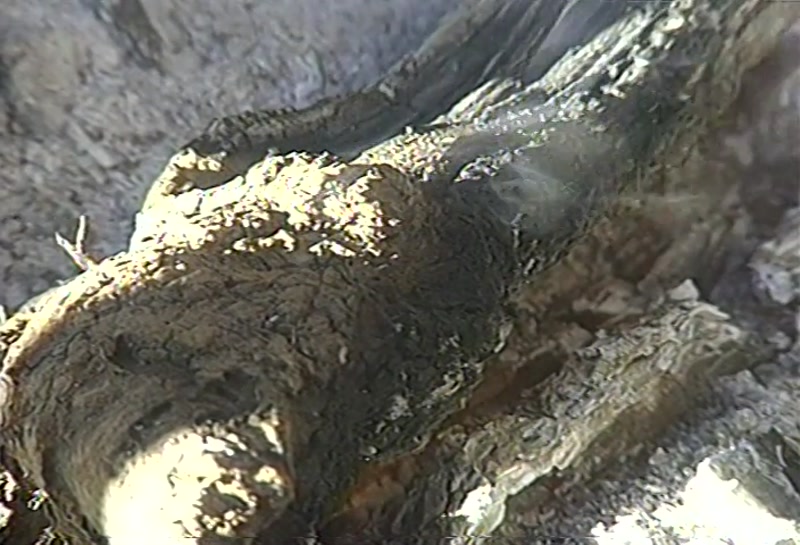 Video frame