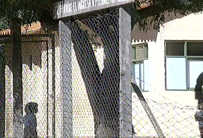 Video frame