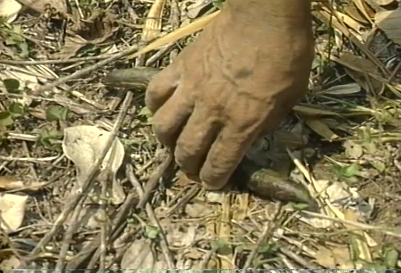Video frame