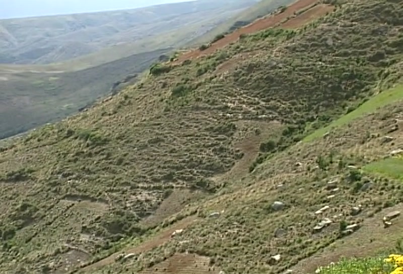 Video frame