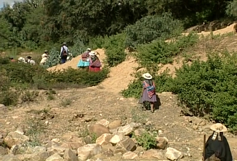 Video frame