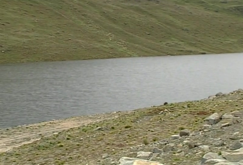 Video frame