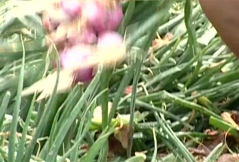 Video frame