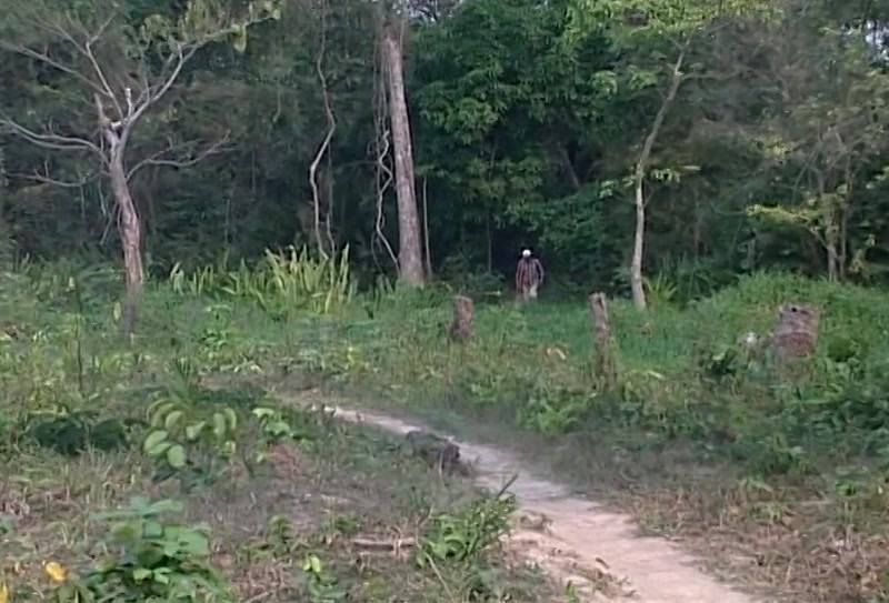 Video frame