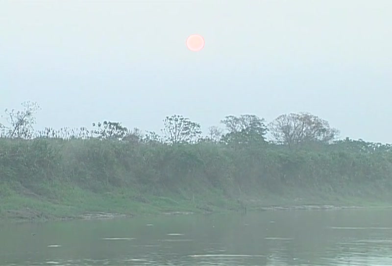 Video frame